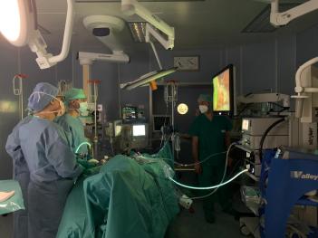 One day in Cremona with 2025