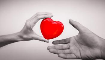 foto di due mani con un cuore